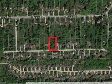 Satellite view of lot location on street.