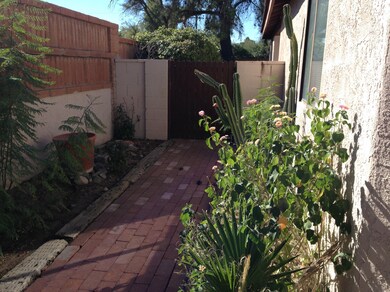 Side walk to Back Yard
