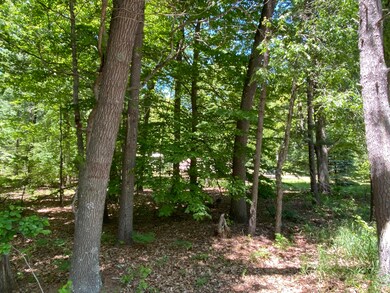 IMG-0952