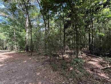 00 Montgomery Rd, Summit, MS 39666 - photo 6