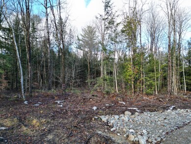 Lot 7 Beaver Ln, Lincoln, ME 04457 - photo 6