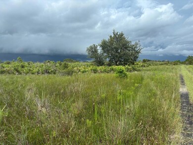 0 NW 312th St unit F10523638, Okeechobee, FL 34972 - photo 2