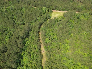 0 Judydahl Rd unit 11616615, Woodville, MS 39669 - photo 4