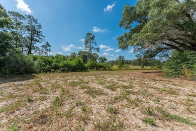 5.65 Acre Prescott Rd, Florala, AL 36442 - photo 6