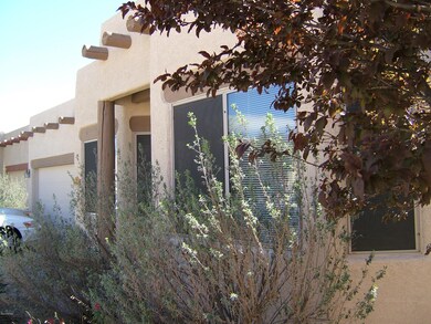 3717 N Bay Horse Loop, Tucson, AZ 85719 - photo 6