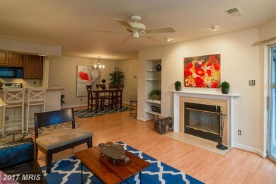 13706 Modrad Way unit 7-A-24, Silver Spring, MD 20904 - photo 7