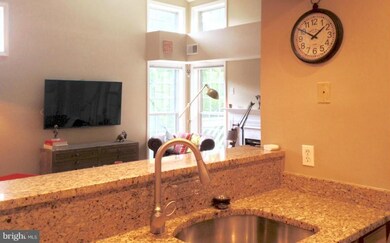 1365 Garden Wall Cir unit 703, Reston, VA 20194 - photo 4