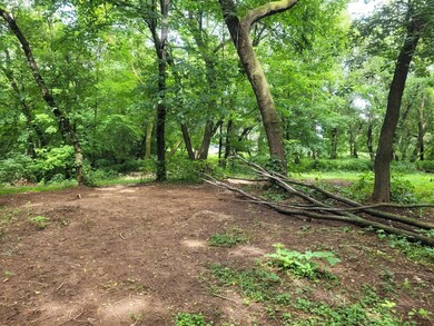 Cleared area looking south