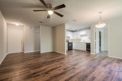 244 W Mcfarland St unit 248C, Bells, TX 75414 - photo 5