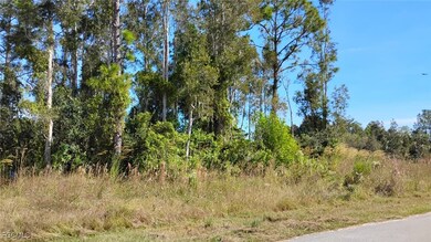 4810 30th St SW, Lehigh Acres, FL 33973 - photo 3
