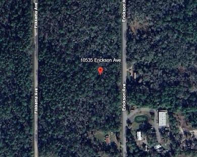 10535 Erickson Ave, Flagler Estates, FL 32145 - photo 5