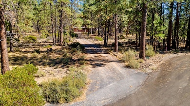 1-web-or-mls-Riley Visuals-1