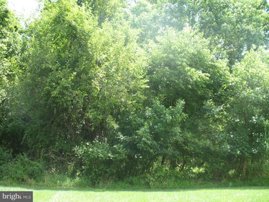 8005 Pink Azalea Ct, Windsor Mill, MD 21244 - photo 5