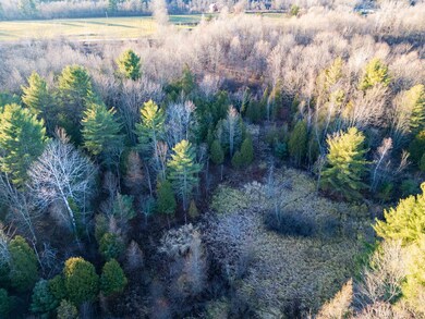 Wooded and open lot.