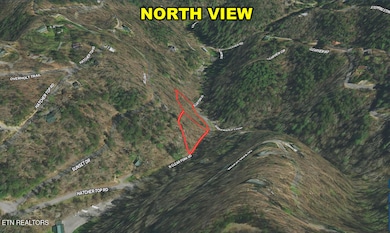 north view