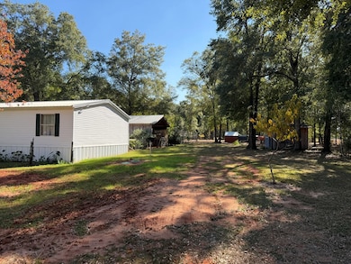 3016 Clubhouse Rd, Coleman,ga, GA 39836 - photo 3