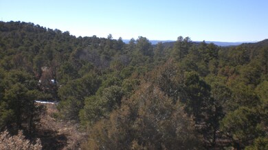 20150209_11