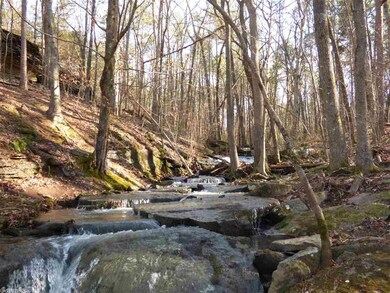 0 Hwy 25b unit 18006618, Heber Springs, AR 72543 - photo 2