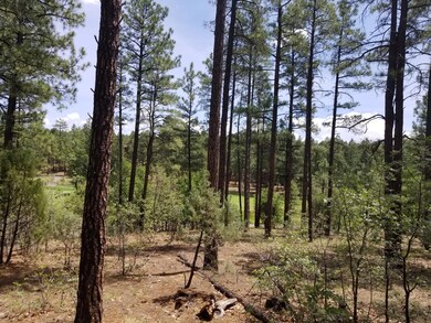 3950 Shaggy Bark Rd unit 333, Show Low, AZ 85901 - photo 6