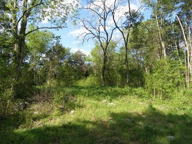 0 Verona Caney Rd unit 1632993, Chapel Hill, TN 37034 - photo 7