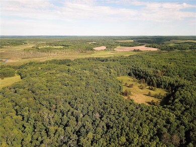 DJI_0184