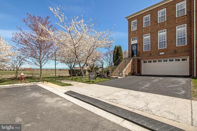25110 Pennywort Terrace, Stone Ridge, VA 20105 - photo 3
