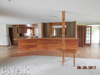 310 N Gerrard St, Chenoa, IL 61726 - photo 3