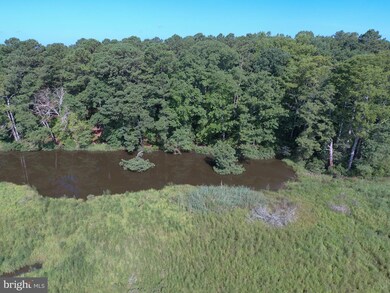 0-36B 1 B 34 Point Anne Dr, Hartfield, VA 23071 - photo 7