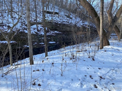 29507 Pinnacle Lake Rd, New Florence, MO 63363 - photo 4