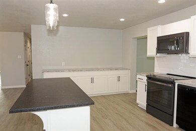 125 Lakeview Terrace, Weatherford, TX 76087 - photo 6