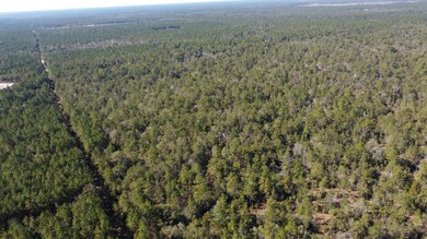 TBD Joe Lorenz Rd, Singer, LA 70660 - photo 7