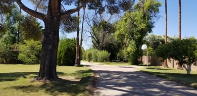 Hackamore Lot
