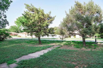 Nice mature trees including pecan and pear trees
