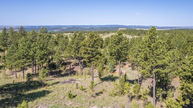 26771 Elk Run Rd, West Custer, SD 57747 - photo 4