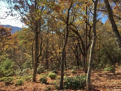Late fall photo, looking westerly into the old gro