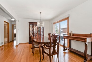 10502 San Luis Ln, Orland Park, IL 60467 - photo 7