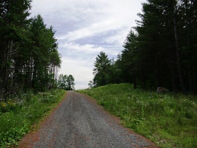 0 Baynes Rd unit 8 4779392, Plainfield, NH 03770 - photo 3