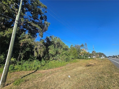 4322 N Carl G Rose Hwy, Hernando, FL 34442 - photo 2