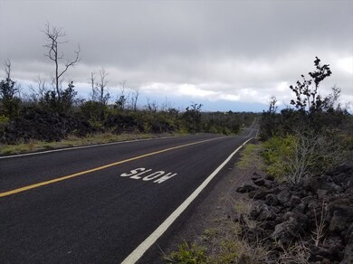 quiet street, no electric poles to block view, lot to the right of picture
