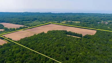 19701 KLUVER RD, NEW BUFFALO