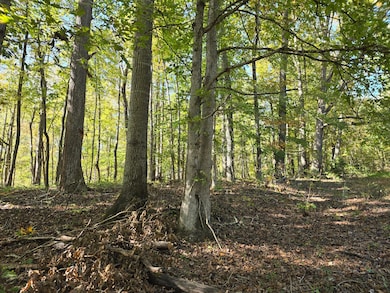 0 Salisbury Rd unit 139599, Eagle Rock, VA 24085 - photo 6