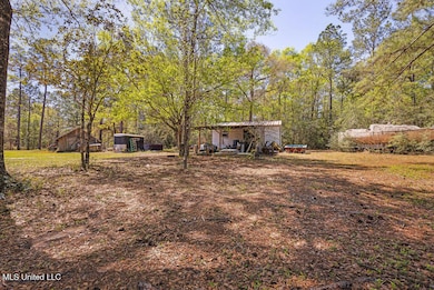 3110 Dogpatch Rd, Kiln, MS 39556 - photo 6