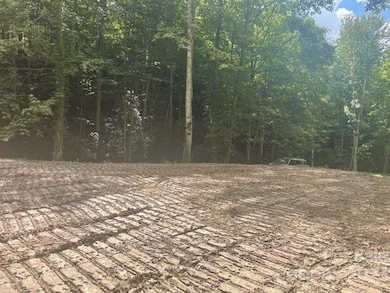 Lot 17/18 Long Creek Rd unit 17/18, Bryson City, NC 28713 - photo 2