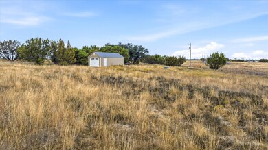 990 County Road 182, Stephenville, TX 76401 - photo 4