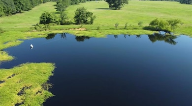Bird's eye view of a nearby body of water