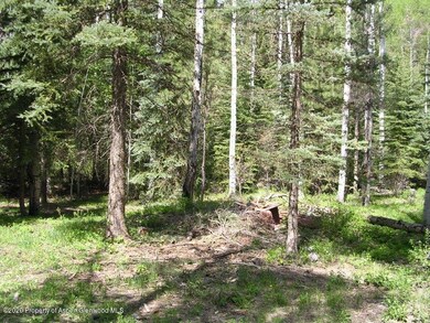 DSCN3538