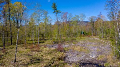 5 Ossipee Mountain Rd unit 49/5, Moultonborough, NH 03254 - photo 4