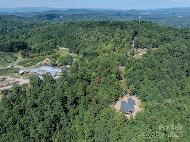 0000 Pinnacle Mountain Rd unit 1, Zirconia, NC 28790 - photo 6