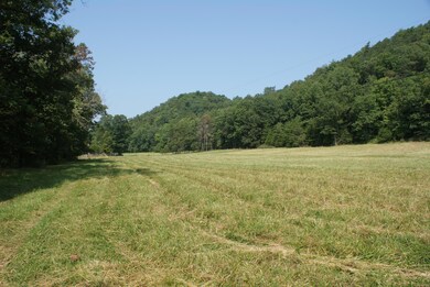 Pasture/Hay field