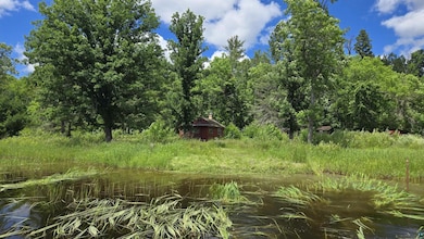 TBD 40 Crane Lake, Crane Lake, MN 55725 - photo 2